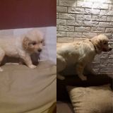 a58186a94faddd87f29376bffc0bf78d_160x160_fill