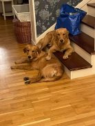 a5ab9de3c011b3d4c2065041b9c68cfb_138x184_fill