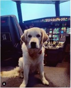 a605dae7cdfa96e157960177cb5a4f7e_144x179