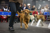 a69410895a09d2235be4270ec77c4b9d_195