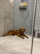 a6e65feed968f5acf00a122a57e7461b_138x184_fill