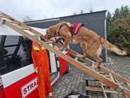 a6ead22426635c1f9a3b86effcfe5f8b_184x138_fill