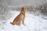 a71b9cb71b98ea9ead766f1d87fda947_195