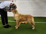 a78593b879e84902ed52739dffd8db7a_186