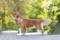 a7a5b7b3eb27ffed75416039db7213f5_195