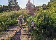 a7ee7390c32118aca275b436948e3964_189