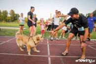 a8d024195698f082aa381c0a95d62103_195x130_fill