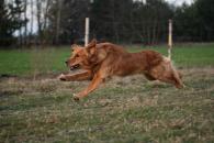 a8e941973e1f7955276dcf077fd26324_195x130_fill