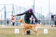 a90c49c400f513823519e93b9a22d4a5_195