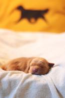 a97d57f7a82c403a67f785bceb7bd0ec_130x195_fill