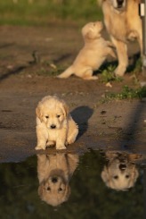 a9e7f975b8197e1d9eae2e705c8d6164_164x245