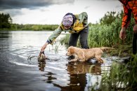 a9f3dcb2dd0aa268f2e424331d2dccbd_195