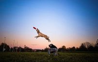 aa0b1783ce50d54361c5b0c6260aeb39_202