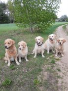 aa84a69d59d93d0ed4abdde6830214fc_138x184_fill