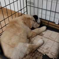 aaea1b304c649c8bcfc214d7bda4d117_200x200_fill