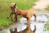 aaebd50f48dda715b6590854b240ebcd_194