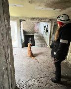 ab44434a16fd16e28d153fe90c9c599f_144x180_fill