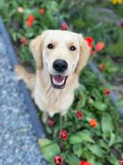 ab48c12ea4cd607a85985c723872a5dd_138x184_fill