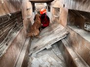 abcb9a04e728fddd57c5b6af3e79319f_184x138_fill