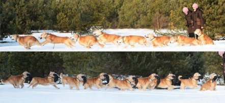 ac996daa16f98480be55aaa2051d19c2_442