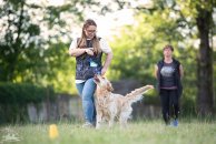 acb3dc94ac18420c4670b6cd328df7c6_194