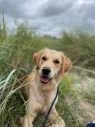 acf7c1b932c7e4745c0b52ce0652918f_138x184_fill