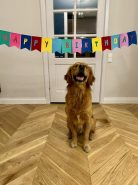 ad1be32c43031d14225ccad2ed15caca_138x185