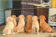 ad832bf188fe5d87461e79b0e8bdb64a_194