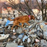 ad8a84f0b6c1589527f16fb7429b51f3_160x160_fill