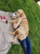 adb4977efba67a1a91e87ed497f74820_138x184_fill