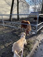 adc7f424a6c85077270faa80e6b16e1f_138x184_fill