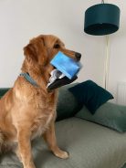 aea3d2e8b606f61aadcd5947536d3a99_138x184_fill