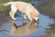 afa53fbb002fee7ba297b36333525b10_194