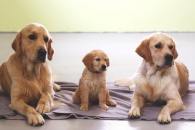 afc50cde167b7dfde312f43def650e2b_195