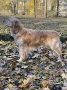 b00e69c0009fdff3339f6ac4ae2ffd4b_138x184_fill