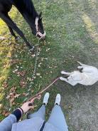 b03638b69c733e34198f137e58fc31e5_138x184_fill