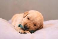 b06a68505319235d7de6a1758d9211c8_195