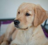 b08796445231416842e8088462aae63e_166