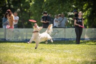 b139a7e76669605ce2687c0cb082ce46_194