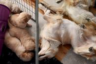 b1ab58d50011a8b652b5d92f191d6ab2_195