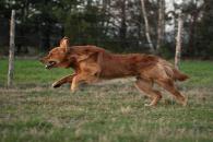 b24e9b4340801f52642f2a5e1f6cb295_195x130_fill