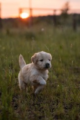 b256e143084ecf92d721d213eb0882a8_164x245