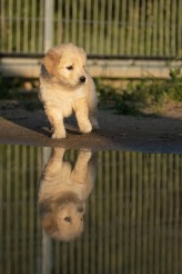 b28c7063fb970960dc61666d17323783_164x246