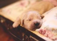 b2d932a0eaebb388291d612eb679dfbb_190