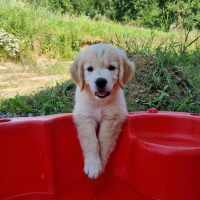 b30a8ce83369109fed5b580f6c49f3f9_200x200_fill