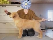 b34652b68e583419fd329646e6c8164a_183