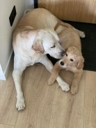 b3b46d2f9a6cc2226172f662d0f99673_138x184_fill