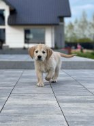 b3fddaeaf5114ef31f68e71948fe6659_138x184_fill