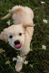 b41c637324d37595b702bc110b536dec_164x246