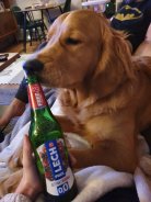 b4563dd1b57cbf0c02dbde46bda92a13_138x184_fill